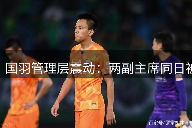 国羽管理层震动：两副主席同日被查引发热议